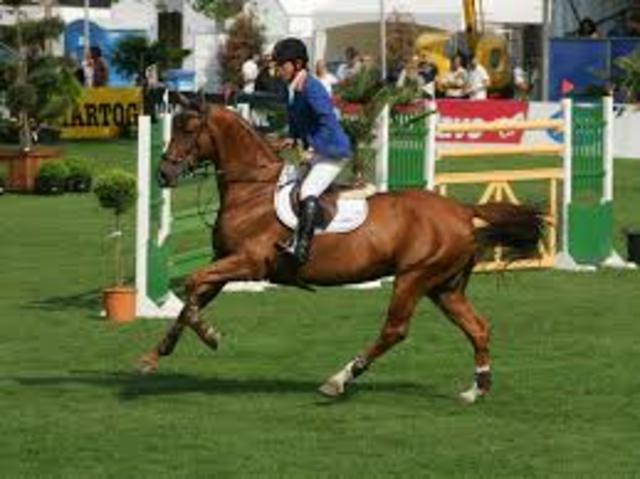 Team Gold medalist at European Championship with his horse Berlin.