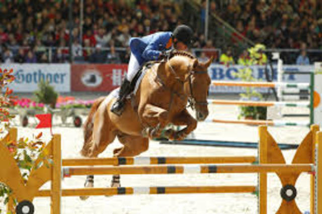 Won the Longines Global Champions Tour Grand Prix in Cannes with London.