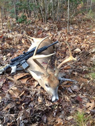 Buck Down