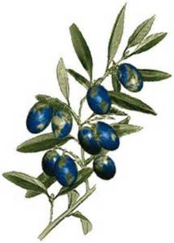 Olive Branch Petition