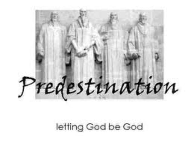 john calvin developrd the idea of predestination
