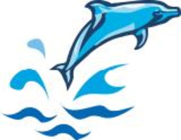 Where I started Elementary School