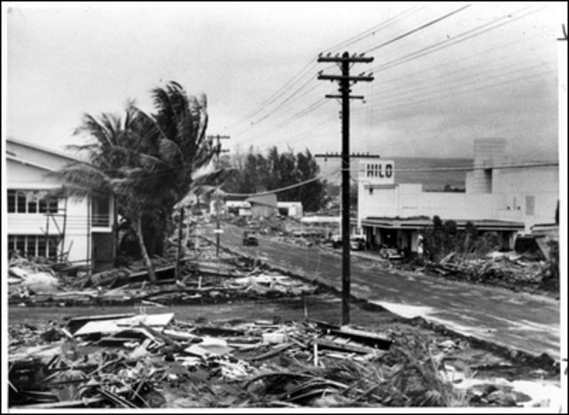 Hawaii Tsunami
