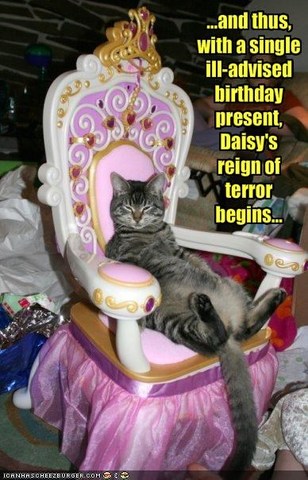 Reign of terror begins