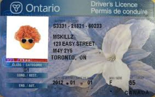 Recieved my G1 license