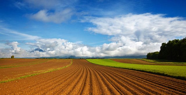 Returned to Woolsthrope