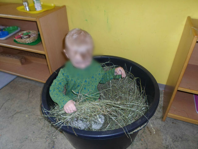 ΠΑΙΧΝΙΔΙ ΜΕ ΤΟ ΣΑΝΟ