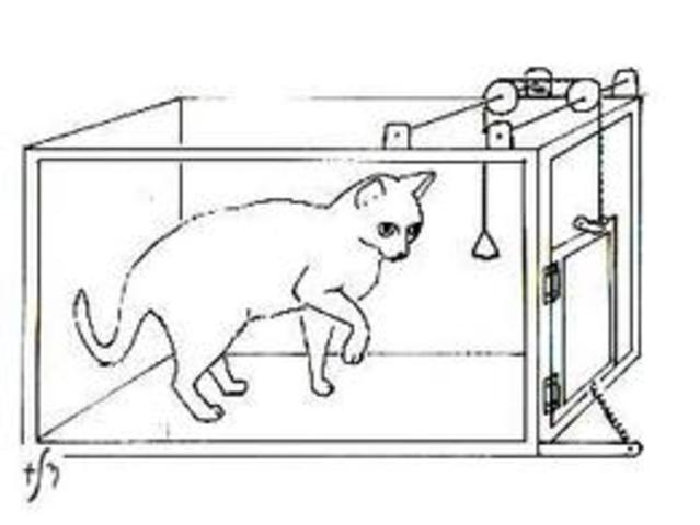 "Ley de efecto" Edward Lee Thorndike (1874-1949)