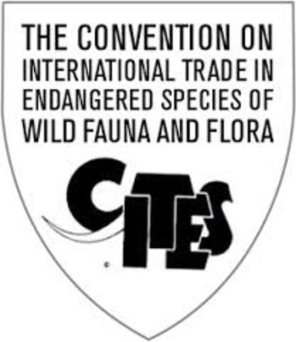 CITES - Convenção sobre o Comércio Internacional de Espécies de Fauna e Flora Selvagens Ameaçadas de Extinção