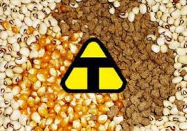 Lei Federal 11.105 (dispõe sobre a Política Nacional de Biossegurança)