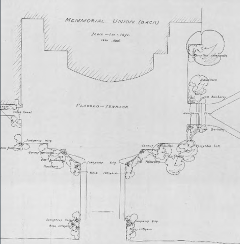 Cafeteria Renovation