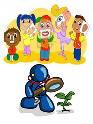 Aprendzaje para Brunner