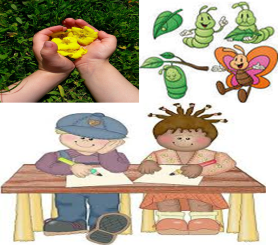 Etapas del aprendizaje según Brunner