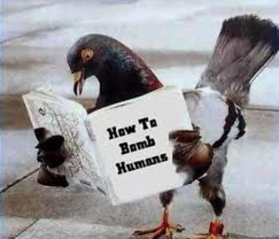 Condicionando bombas