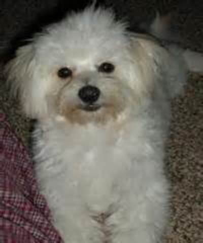 I lose my best friend