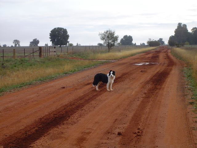 First circlenavigation of Australia is completed  by Mathew Flinders