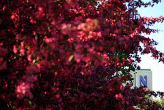 Titanic Players was founded at Northwestern University