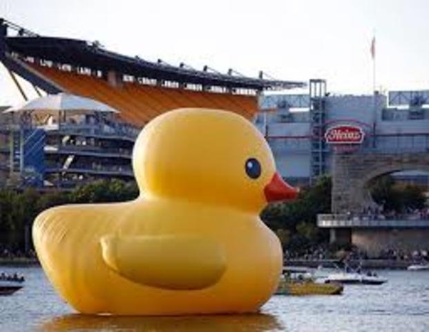 Giant Inflatable Duck Comes to Pittsburgh