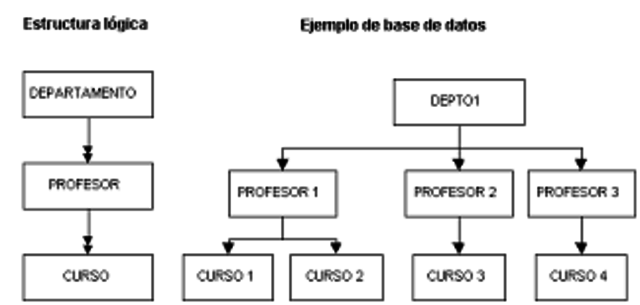 Se dio inicio a las primeras generaciones de bases de datos de red y las bases de datos jerárquicas