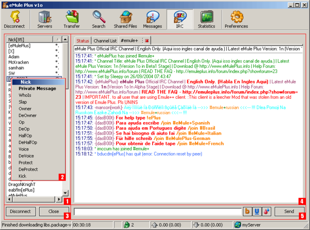 se desarrolla el IRC (internet realy chat o chat