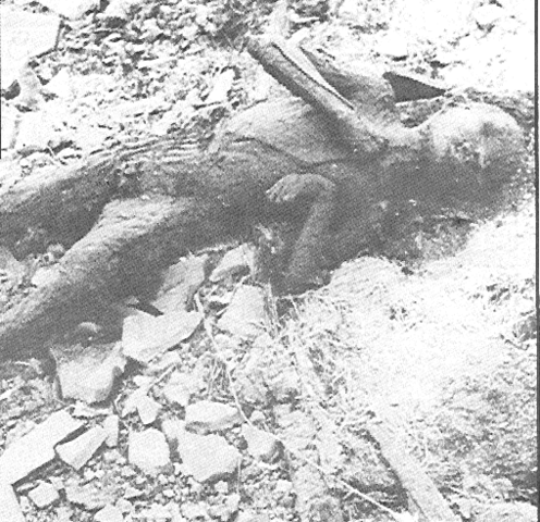 Hiroshima & Nagasaki