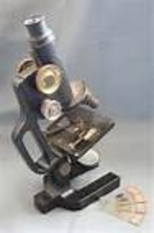 Anton van Leeuwenhoek evolved the microscope