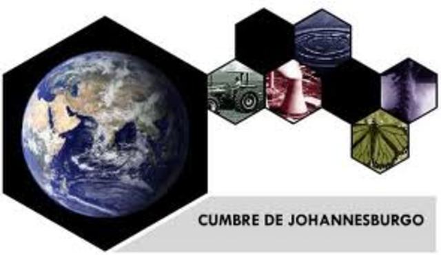 CUMBRE DE JOHANNESBURGO