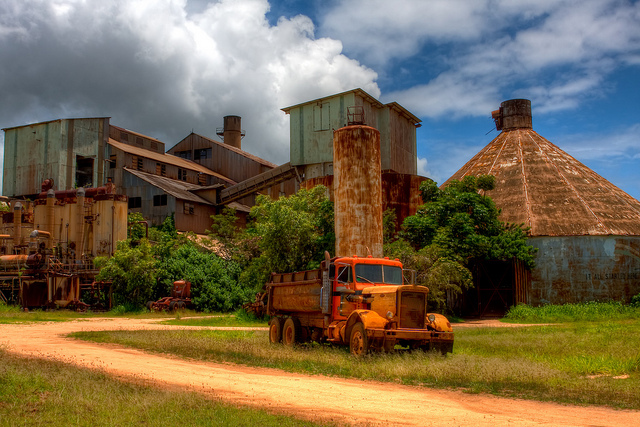First sugar cane plantation built