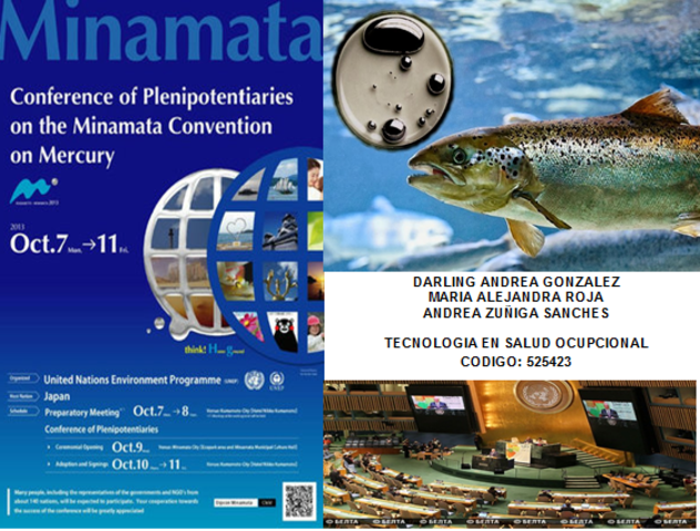 CUMBRE DE MINAMATA
