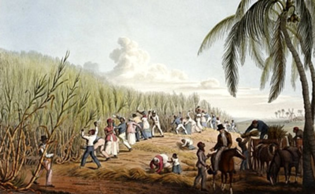 Asian Immigrants Arrive