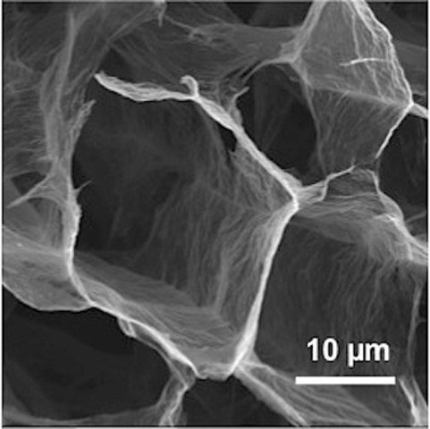 Robert Hooke First to Use the Word Cell