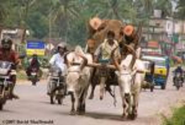 Congress suffers worst ever electoral defeat as Hindu nationalist BJP emerges as largest single party. In May 16 AB Vajpayee is PM, until May 28; United Front Coalition forms government under Prime Minister H.D. Deve Gowda.