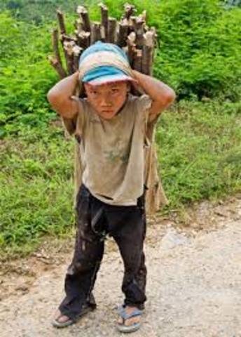 Niño Trabajador