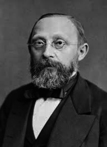Virchow Strengthens the Theory