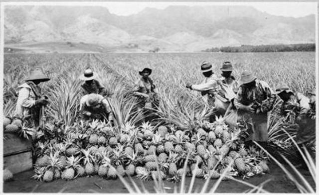 Asian Immigrants Moved to the Islands