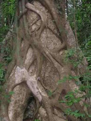 Khmers abandon Angkor