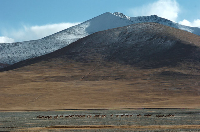 Dust stroms ruin forms in the Great Plains