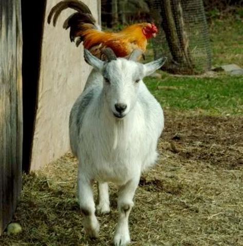 Working at Crazy Ernie's