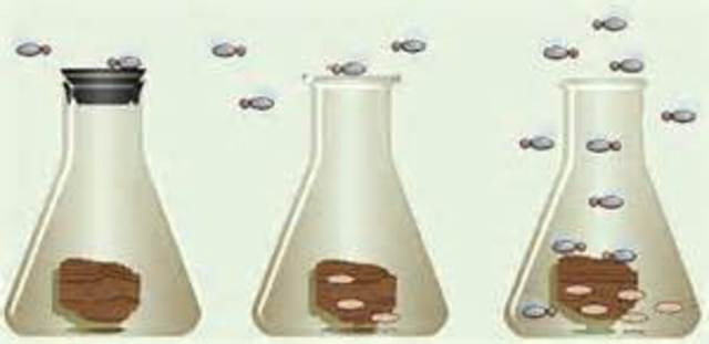 Francesco Redi claims that nonliving things cannot produce living things