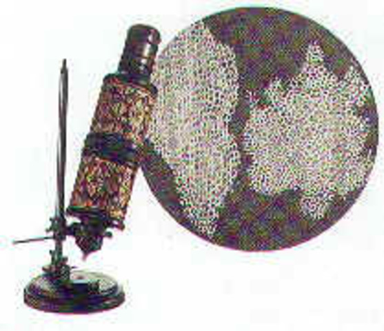 Hooke observes first cell