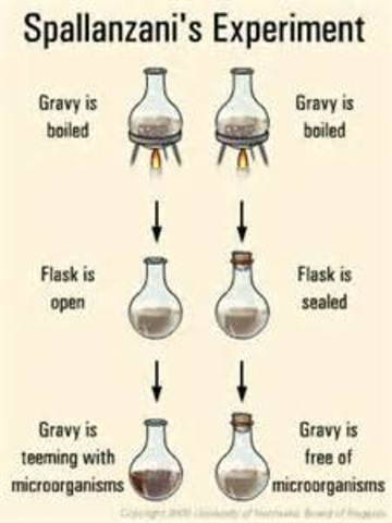 Lazzaro Spallanzani proves Needhams claims to be false