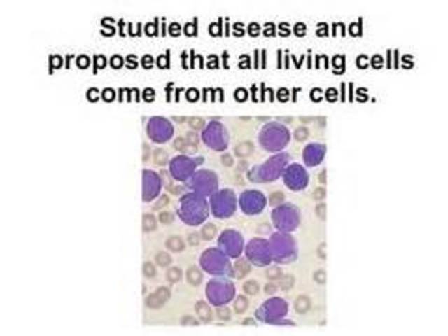 Rudolf Virchow studies diseases