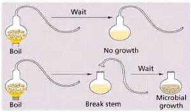 Pasteur disproves spontaneous generation by proving pasteurization