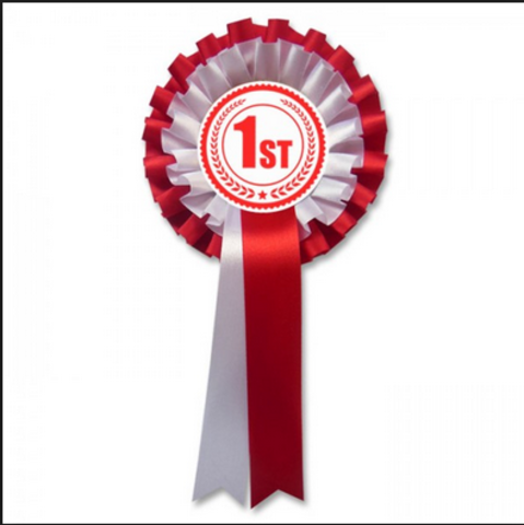 1st Place in a National Art Show