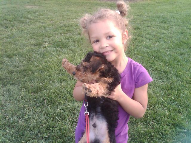 I love this dog named Bentley!