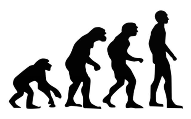 Lorenz oken Creates A New Animal Classification System