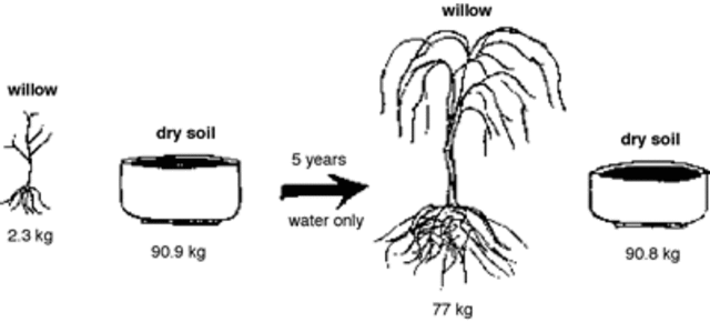 van helmont experimented on how plants grow?