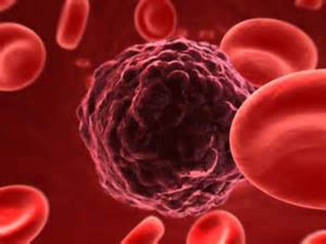 rudolf authored books raningfrom cellular pathology to the history of the Phillipines.