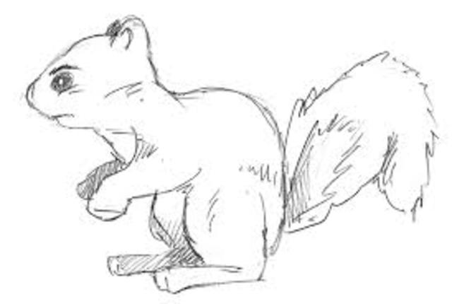 Aristotle classifies how complex animals are.