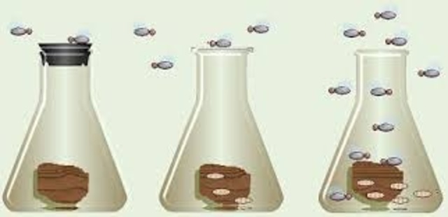 Jan Baptist van Helmont